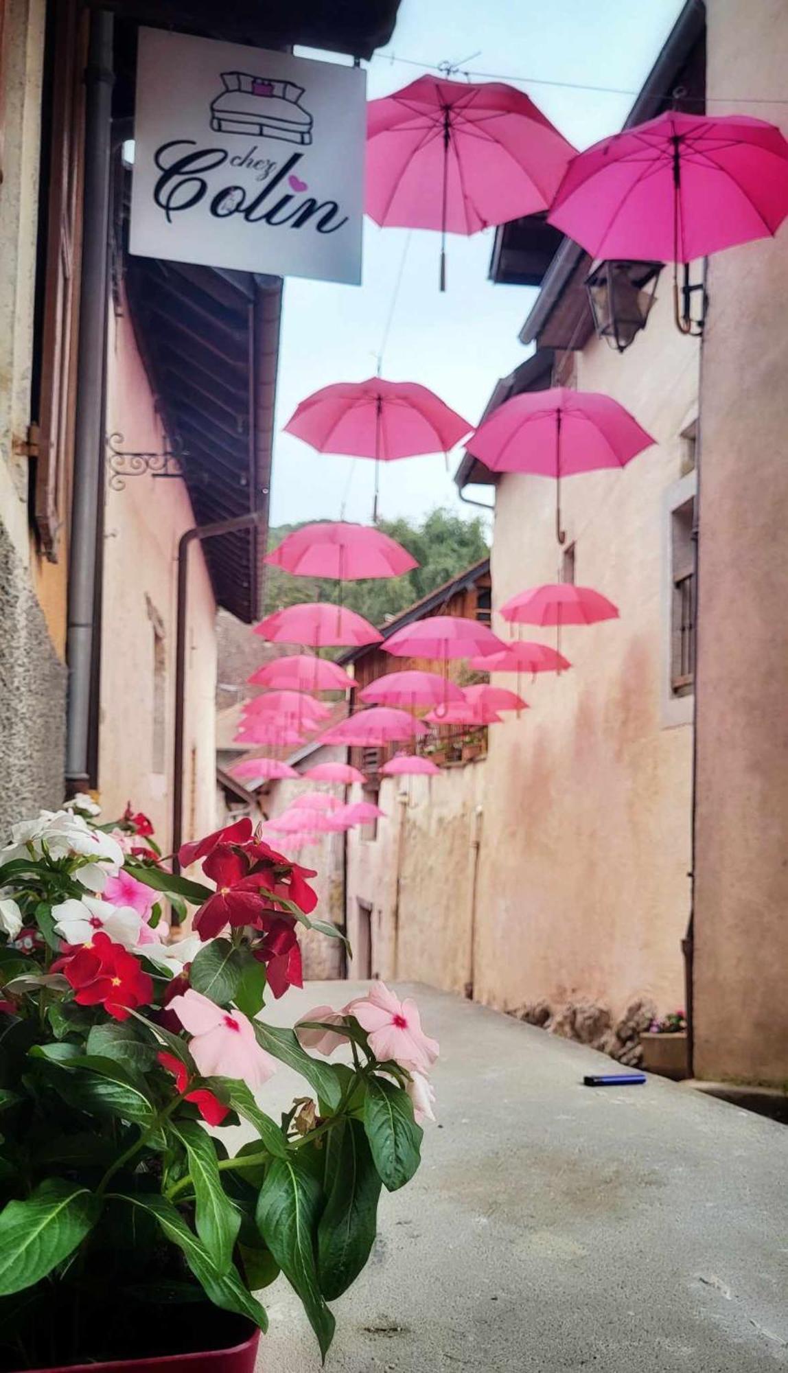 Le Doux Nid Bed & Breakfast Chanaz Exterior photo